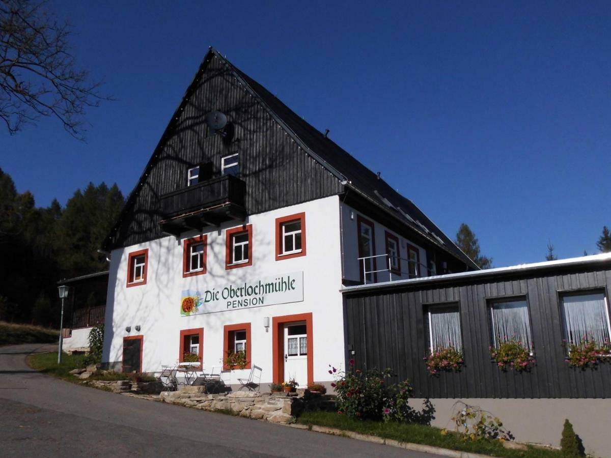 Die Oberlochmühle PENSION Deutschneudorf Exterior foto