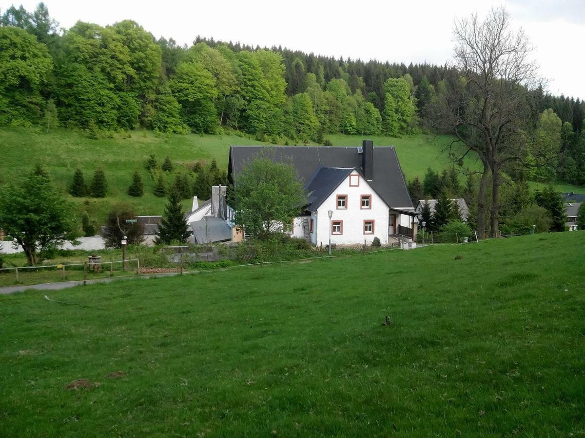 Die Oberlochmühle PENSION Deutschneudorf Exterior foto