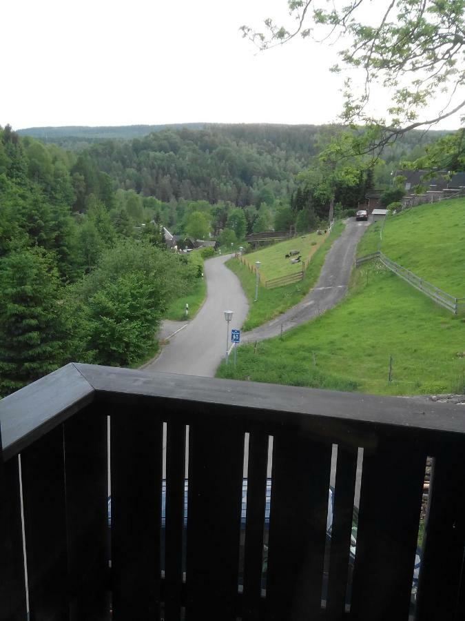 Die Oberlochmühle PENSION Deutschneudorf Exterior foto